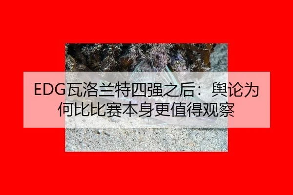 wa-luo-lan-te-si-qiang-zhi-hou-yu-lun-wei-he-bi-bi-sai-ben-shen-geng-zhi-de-guan-cha-2-418.jpg